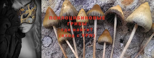 прущая мука Волоколамск