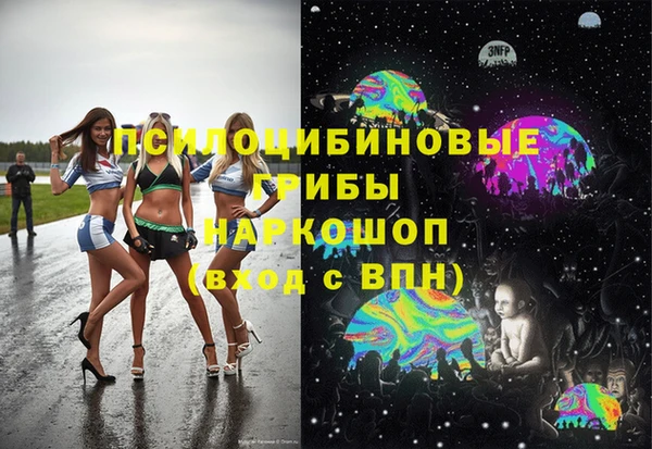 мдпв Верхний Тагил